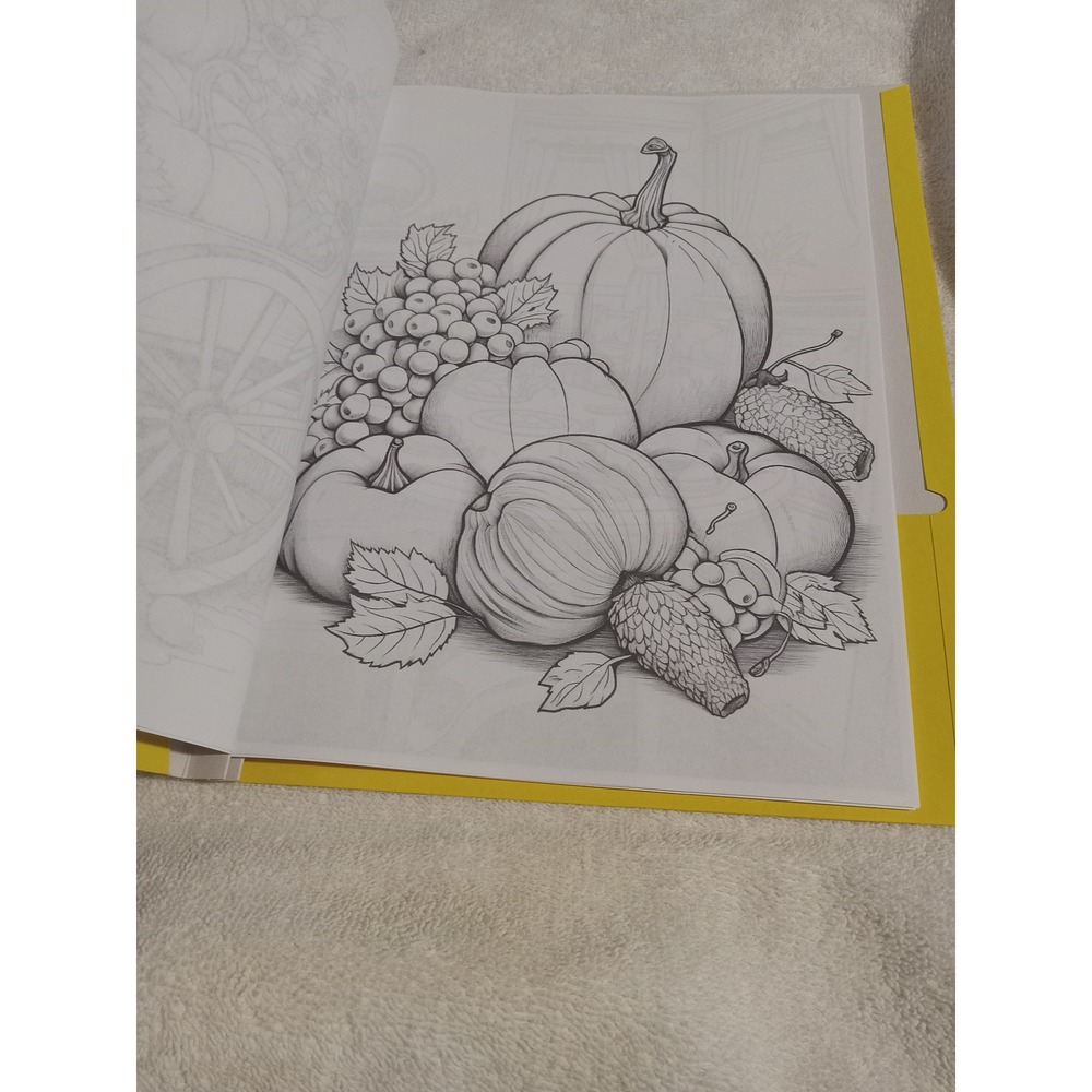 Fall/Thanksgiving Coloring Books - Picture 5 of 14